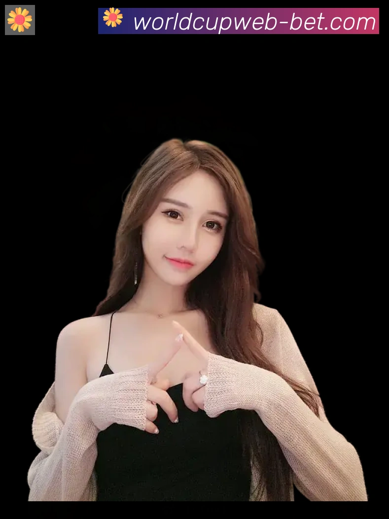奖项证书